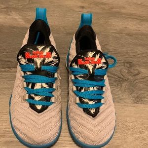 Lebron James Basketball Shoes